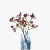 Dartington Crystal Marguerite Extra Large Vase, H21cm